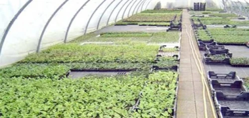 Vente Terrain Agricole Alger Bab Ezzouar