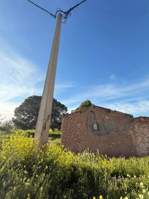 Vente Terrain Agricole Sidi Bel Abbès
