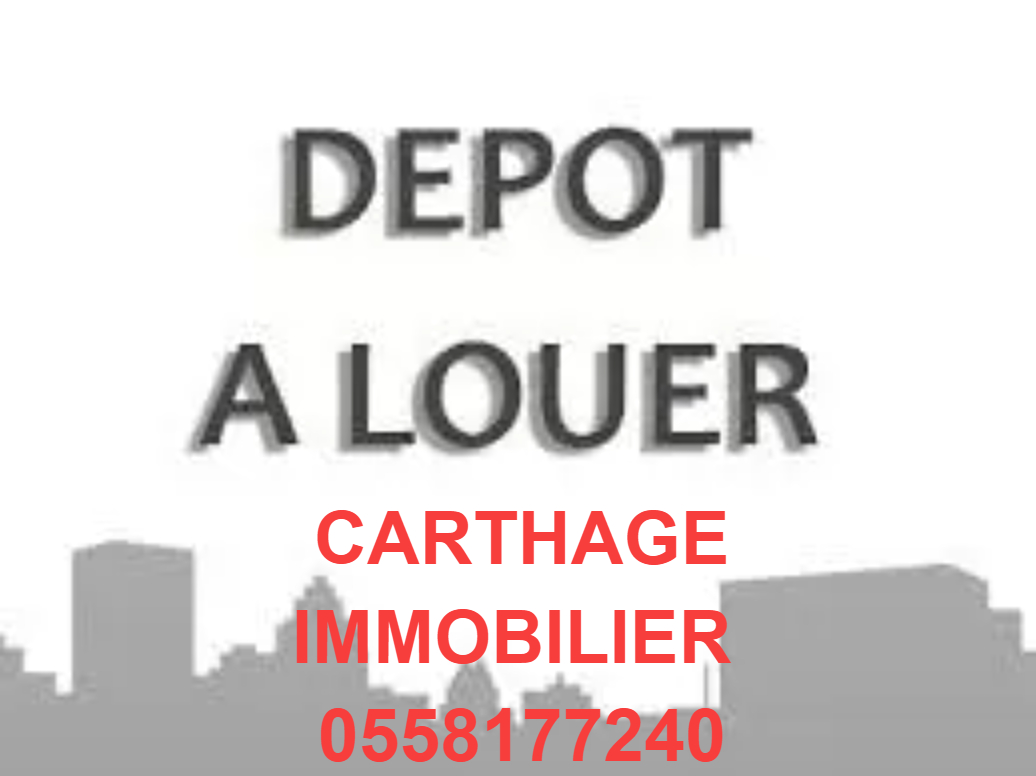 LOCATION LOCAL DEPOT A OUED FORCHA ANNABA 
