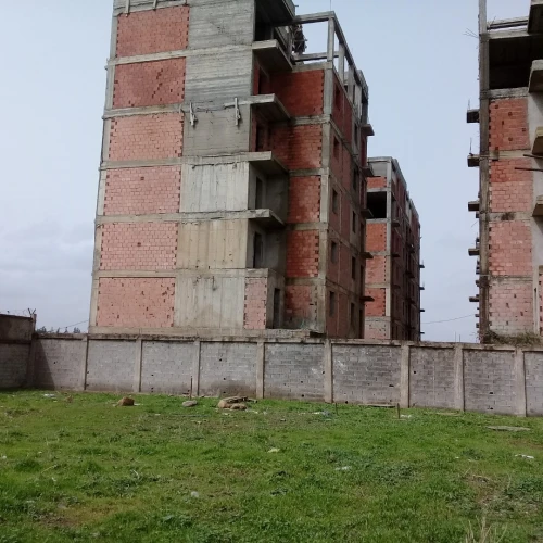 Vente Terrain Alger Tessala El Merdja