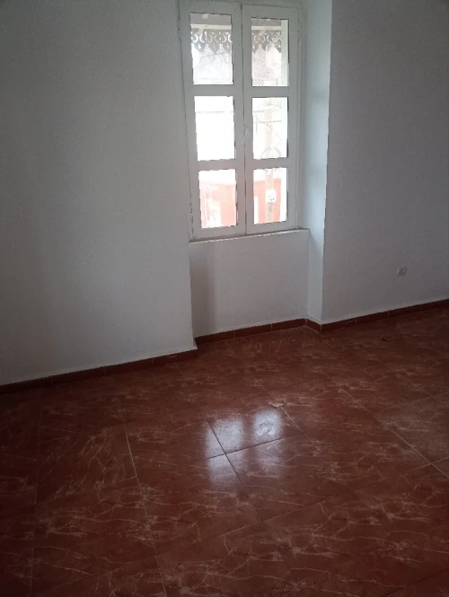 Location Local Alger