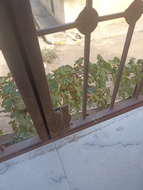 Vente Appartement F3 Alger