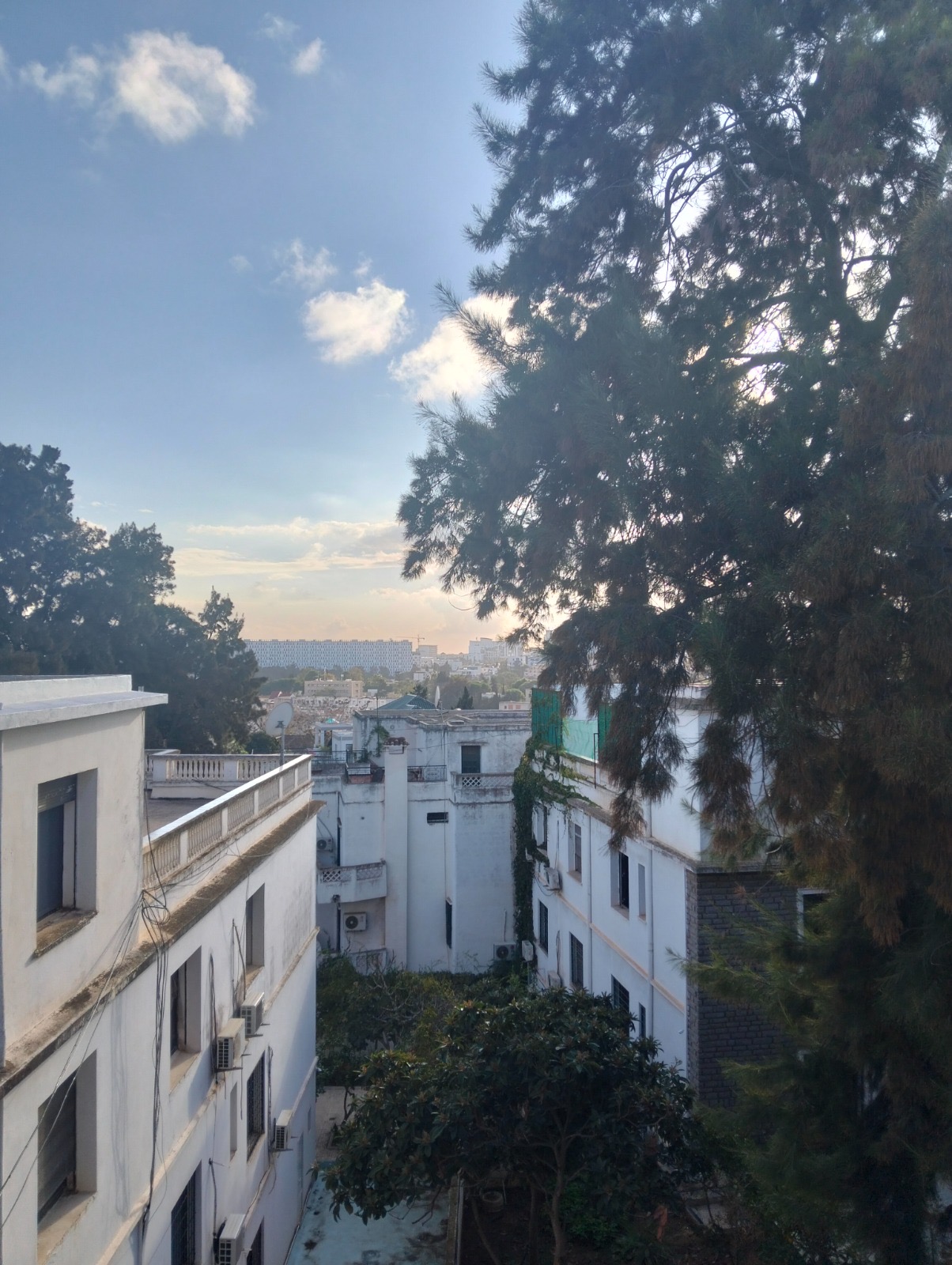 F2 amenagé f3 De 70 M2 à El biar en face ambassade Italie🇮🇹)