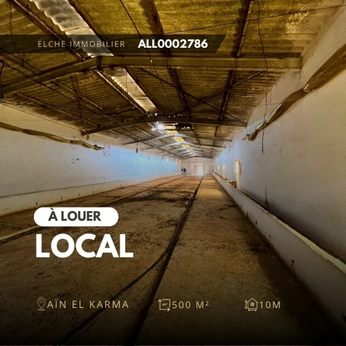 Location Local Oran