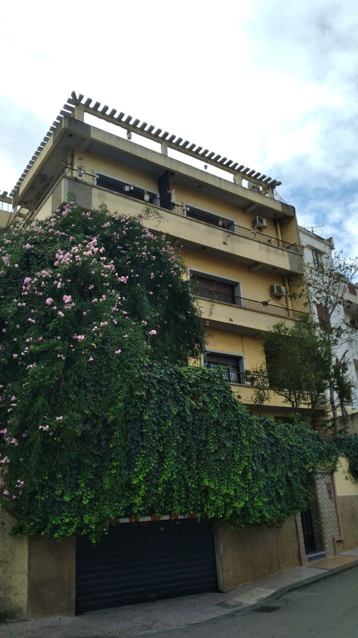 Vente Villa à Alger 