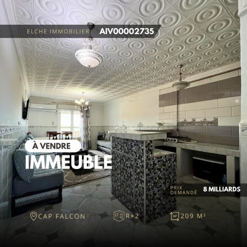 Vente Immeuble Oran Ain El Turck