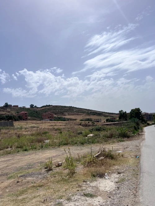 Vente Terrain Boumerdès Zemmouri