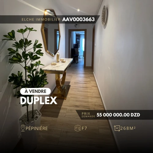 Vente Appartement Duplex F7 Oran 
