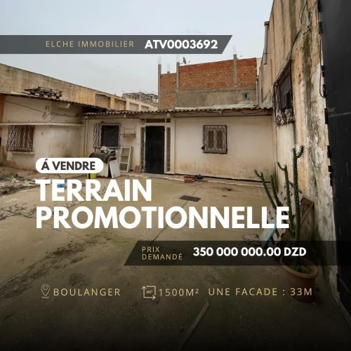 Vente Terrain Oran 